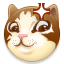 dog3