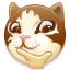 dog5